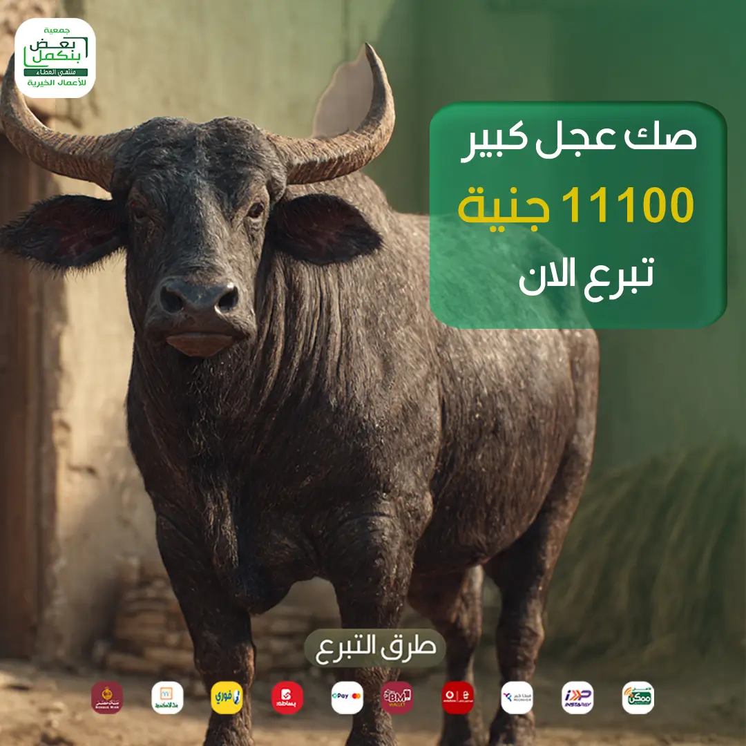 صك عجل كبير